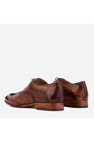 Vinci Veneto Python & Leather Oxford - Tan-AmbrogioShoes