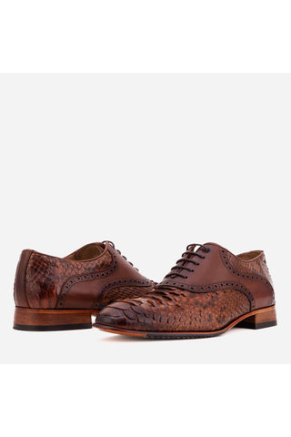 Vinci Veneto Python & Leather Oxford - Tan-AmbrogioShoes