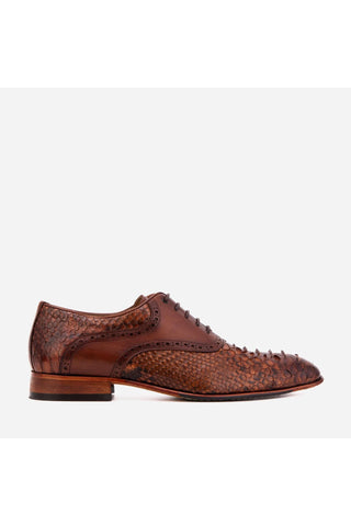 Vinci Veneto Python & Leather Oxford - Tan-AmbrogioShoes
