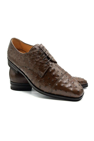 Zelli Italia Andrea Brown Ostrich Skin Derby (ZEL1035)-AmbrogioShoes