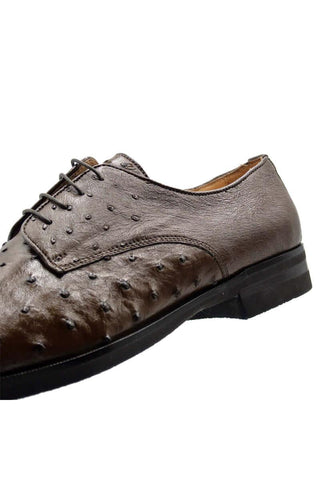 Zelli Italia Andrea Brown Ostrich Skin Derby (ZEL1035)-AmbrogioShoes