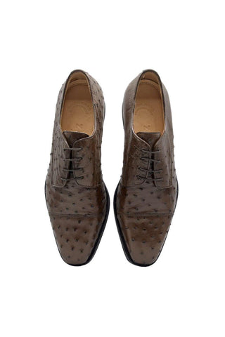 Zelli Italia Andrea Brown Ostrich Skin Derby (ZEL1035)-AmbrogioShoes