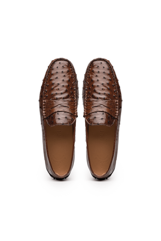 Zelli Italia Monza Brown Ostrich Skin Driver (ZEL1047)-AmbrogioShoes