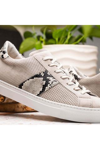 Zelli Italia Olympias Gray Python Skin / Suede Goat-Skin Sneaker (ZEL1058)-AmbrogioShoes
