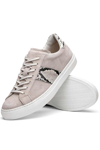 Zelli Italia Olympias Gray Python Skin / Suede Goat-Skin Sneaker (ZEL1058)-AmbrogioShoes