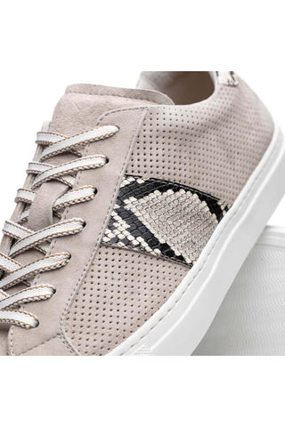 Zelli Italia Olympias Gray Python Skin / Suede Goat-Skin Sneaker (ZEL1058)-AmbrogioShoes