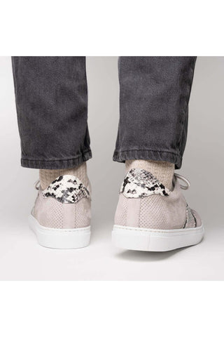 Zelli Italia Olympias Gray Python Skin / Suede Goat-Skin Sneaker (ZEL1058)-AmbrogioShoes