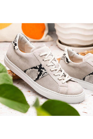 Zelli Italia Olympias Gray Python Skin / Suede Goat-Skin Sneaker (ZEL1058)-AmbrogioShoes