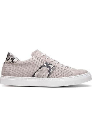 Zelli Italia Olympias Gray Python Skin / Suede Goat-Skin Sneaker (ZEL1058)-AmbrogioShoes