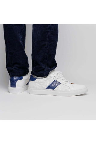 Zelli Italia Olympias White & Navy Crocodile Skin / Calf-Skin Leather Sneaker (ZEL1057)-AmbrogioShoes