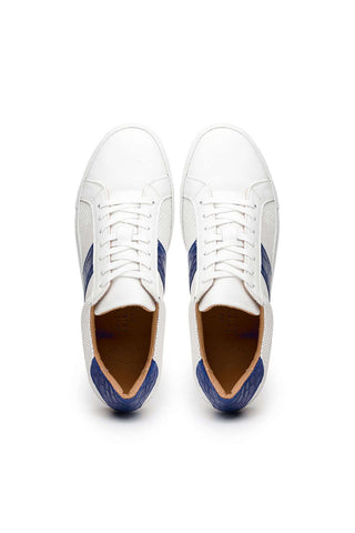 Zelli Italia Olympias White & Navy Crocodile Skin / Calf-Skin Leather Sneaker (ZEL1057)-AmbrogioShoes