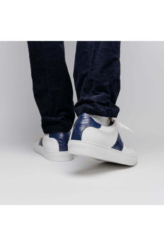 Zelli Italia Olympias White & Navy Crocodile Skin / Calf-Skin Leather Sneaker (ZEL1057)-AmbrogioShoes