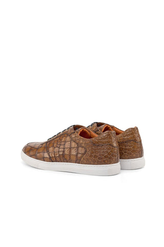 Ambrogio Brown Crocodile Embossed / Calf-Skin Leather Casual Trainer Sneakers (AMB2056)-AmbrogioShoes