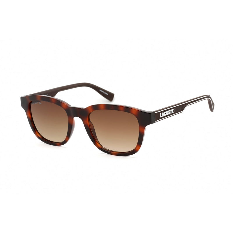 Lacoste L966S Sunglasses HAVANA/Brown Gradient-AmbrogioShoes